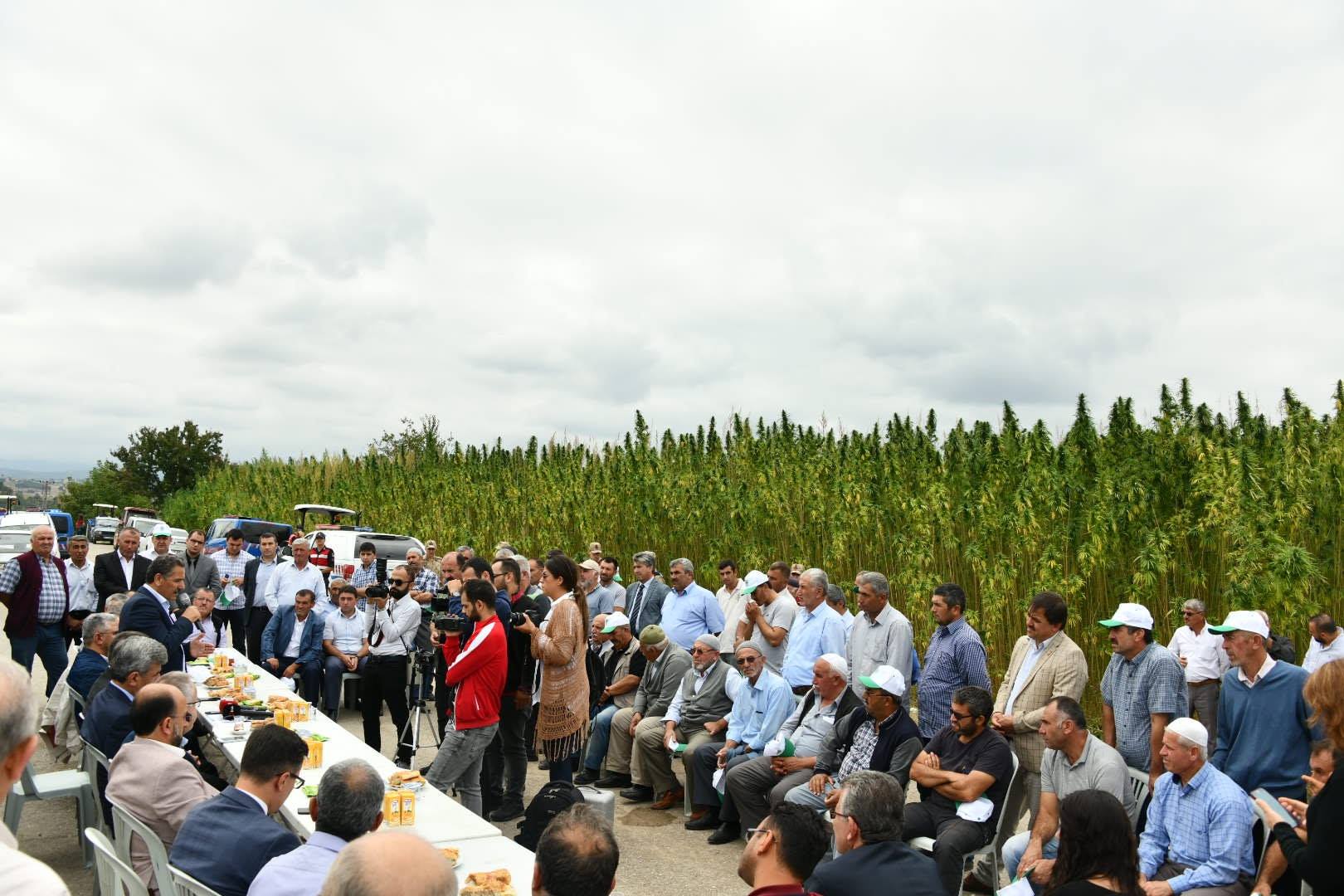 Keneviri hem üretecek hem işleyeceğiz 